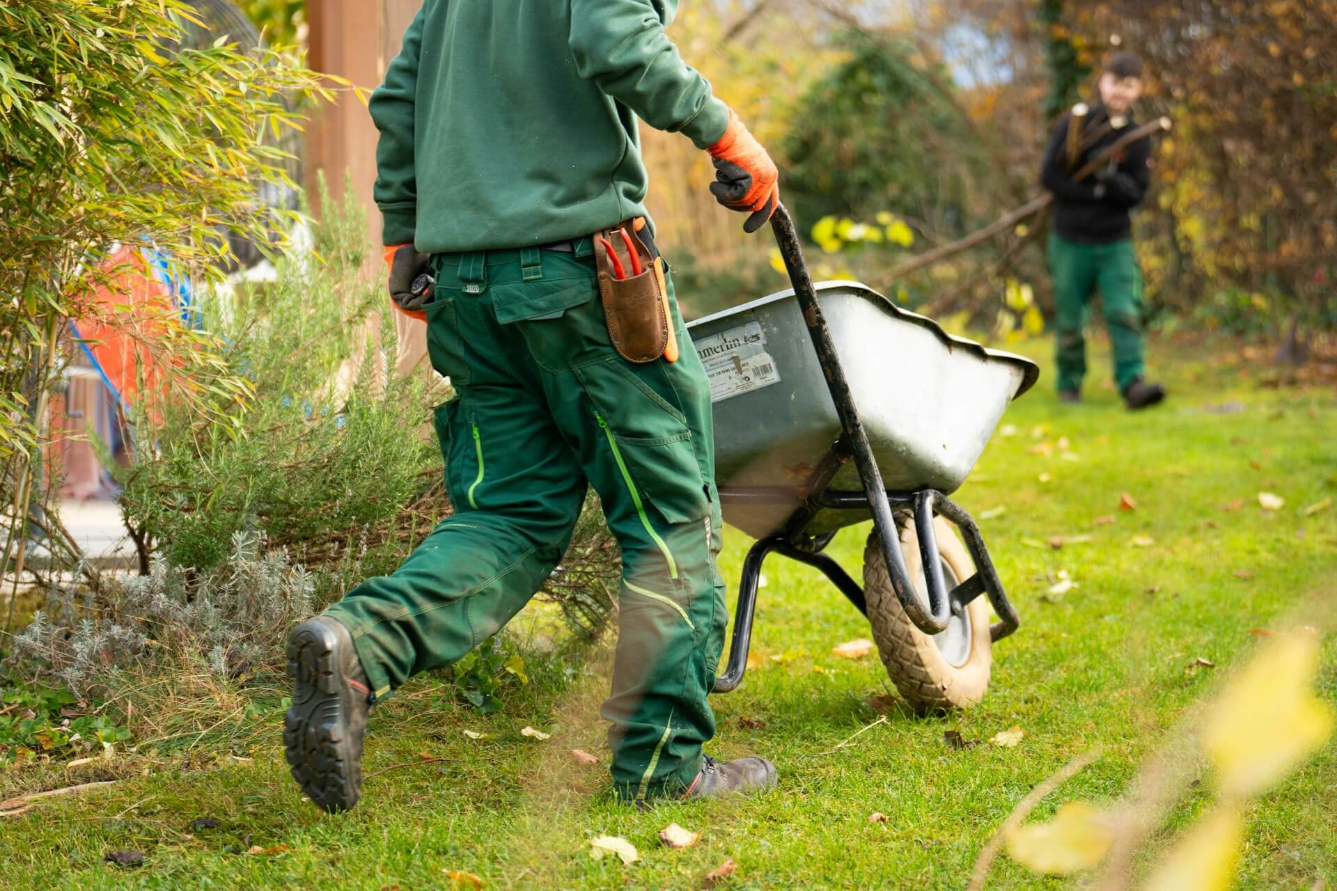 Professional landscaping and grounds maintenance